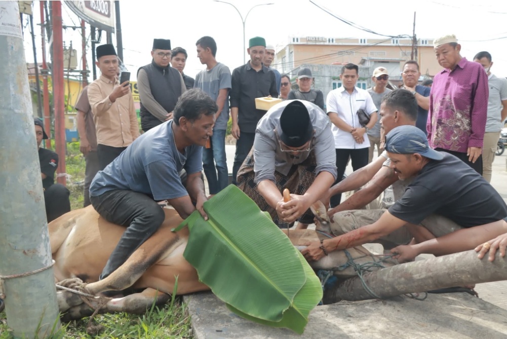 Bupati Tanjab Barat Pimpin Penyembelihan Hewan Kurban PKK